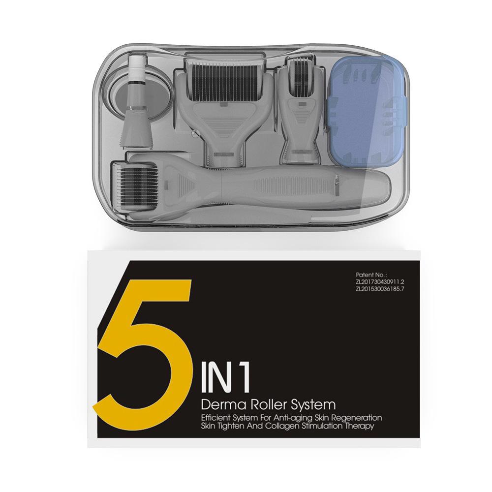 

Набор для ухода за лицом с микроиглами 5-в-1 - Многофункциональный домашний инструмент для красоты