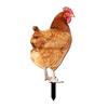 Easy Installation Yard Decor Decor As Shown Chicken Yard Decor Robust Material Vibrant Appearance Visual Appeal