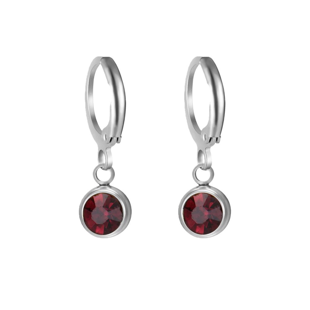 Birthstone Earrings Hoop Earrings Girl Women Stainless Steel Jewelry Family Friend Birthday Valentine's Day Gifts 2025 Trend