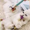 Pet Cats Chew Sticks Natural Grass Pet Snacks Hairball Control Cat Teasing Stick
