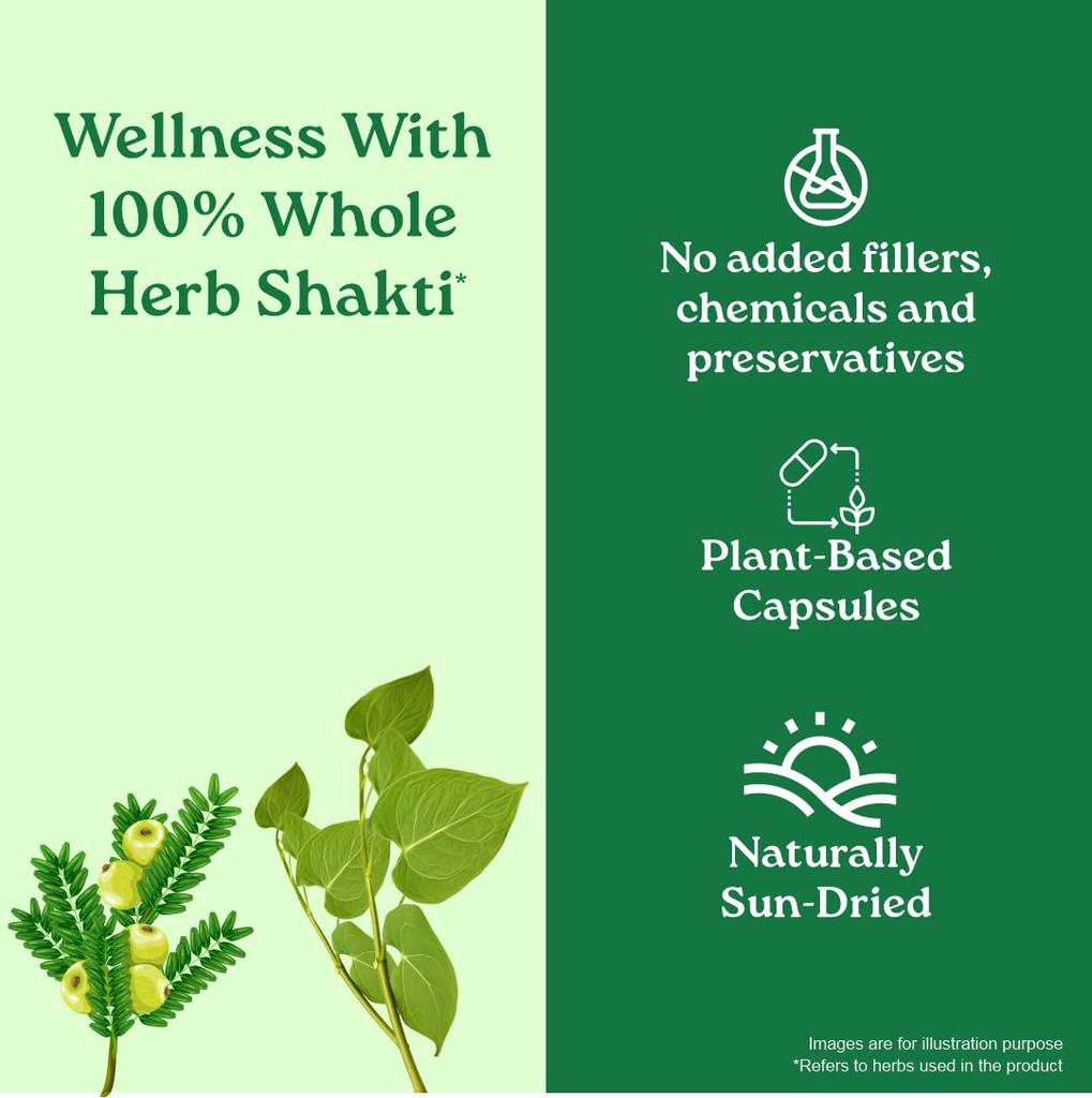 ORGANIC INDIA Weight Balance 60 Veg Kapslí Pro Zdravý Metabolismus A Vyváženou Energii V Rostlinném Složení