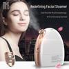 MKS Dual Spray Nano Facial Steamer