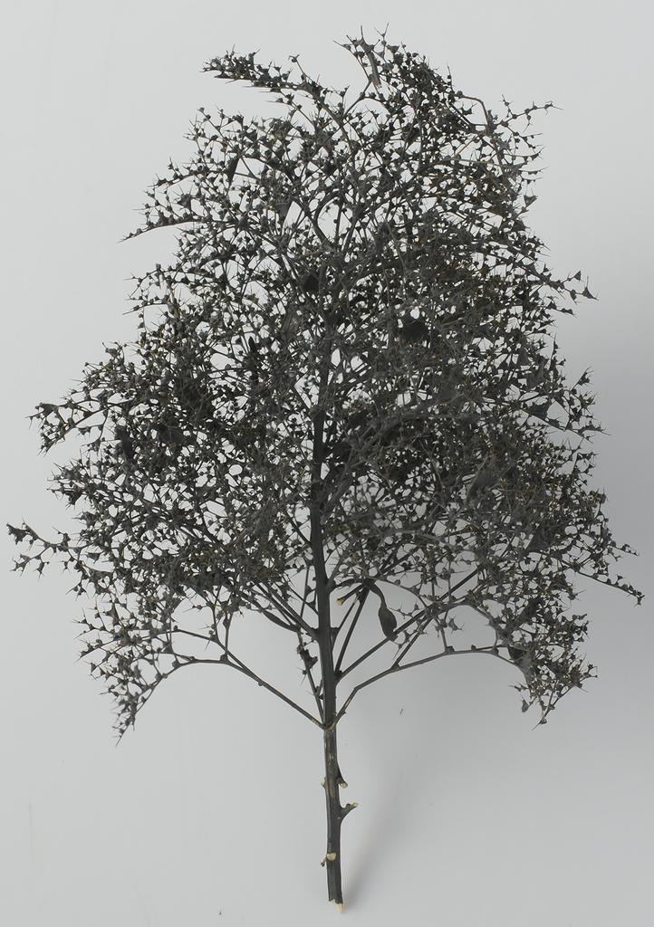 Woodland Scenics x KATO Natural Material Trees Black Dyed Railway Model Supplies 24-368