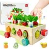 [TAETOE Educational Toy] Montessori Multidimensional Educational Toy, Wooden, for Children: Fine Motor Skills, Magnets, Matching, Recognition, Toy