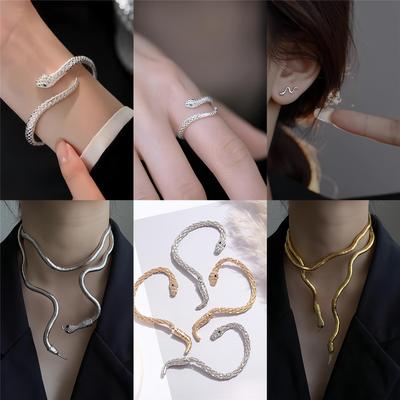 Elegant Silver Snake Wrapped Bracelet & Earrings for Women