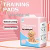 Heart Companion Pet Pee Pad: Instant Absorption, Deodorizing, Leak-Proof, Back Adhesive for Dogs & Cats