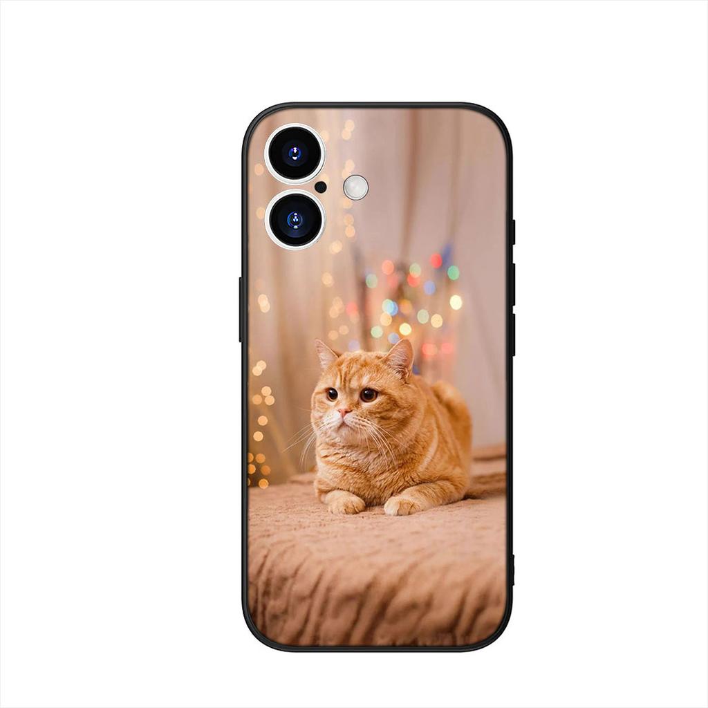 Kitten Cat Cover Phone Case for Samsung Galaxy A07 A13 A12 A14 A23 A42 A50 A51 A52 A53 A70 A71 A72 A21S A04 Note 20 9 8 10