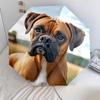 1PC cute dog pet puppy Umbrella Portable Folding Umbrella Iron Frame Hole Bone Structure Outdoor Home Umbrella A10