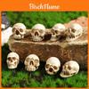 Decorazione Teschio di Halloween Miniatura in Resina per Feste e Regali