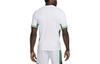 Nike Nigeria 2024 Stadion Domácí Pánský Nike Dri FIT Fotbalový Replica Dres FQ8837-100