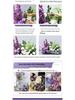 Purple Floral Art Props for Wedding, Classroom, or Window Display - Artificial Aisle Flowers