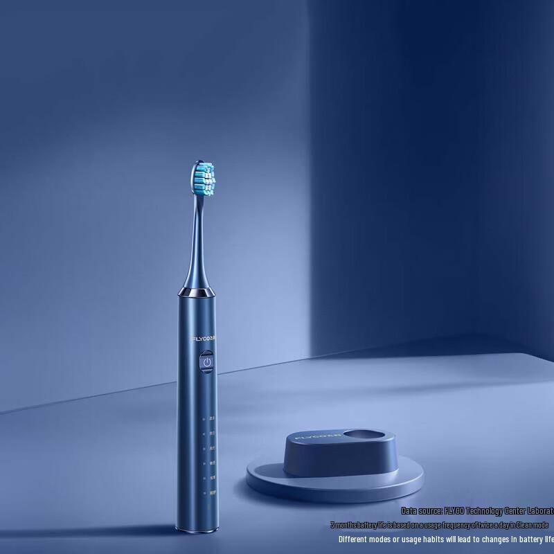 FLYCO Smart Sonic Electric Toothbrush CN plug (adapter included)