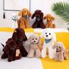 Cute Simulated Teddy Dog Poodle, Teddy Dog Plush Toy Puppy, Long-haired Doll, Rag Doll, Children's Doll