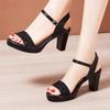 2025 Summer New Platform Open toed Sandal Fashion Versatile Women's High heels Elegant Comfortable Solid Color Women's Shoes