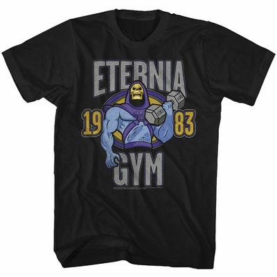 Masters Of The Universe Eternia Gym Black Adult Unisex T-Shirt