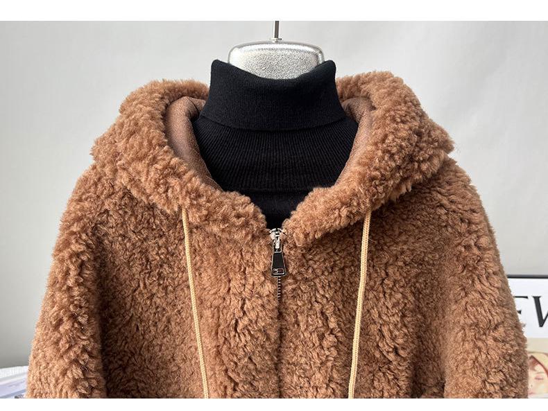 Women's Faux Lamb Wool Hooded Coat: New 2025 Autumn/Winter Double-Sided Plush, Thickened Short Coat/Sweatshirt