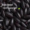 Tianxiliangxian Organic Black Rice