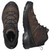 SALOMON X Ultra 360 Comfortable Non-Slip Durable Mid-Top Outdoor Functional Shoes Men Shoes Brown L47570900
