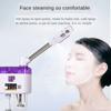 Aparat cu aburi facială Mașină de pulverizare la rece Home Spa Ozon Aburire Ion Sparyer Echipament de înfrumusețare a pielii