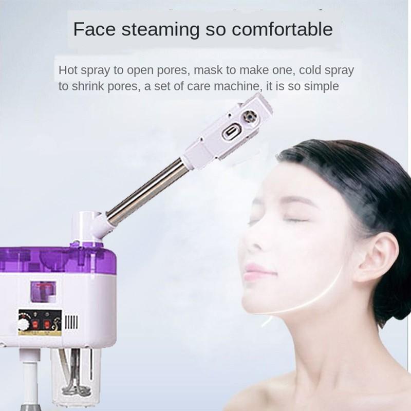 Gesichtsdampfer Kaltspray-Maschine Home Spa Ozon-Dampf-Ionen-Sprayer Haut-Schönheits-Ausrüstung
