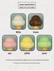 Green Yuan Ice Cream Model Light Display for Shop Decor & Renovation