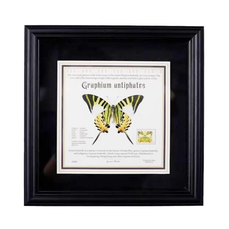 European & American Style Retro Real Butterfly Specimen Display: Glass Photo Frame for Tabletop Decor with Small Pets, Cats, & Reptiles