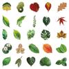 50PCS Leaf PET Transparent Stickers Green Plant Sticker Waterproof for Water Bottle Laptop Scrapbook Skateboard Notebook Journal