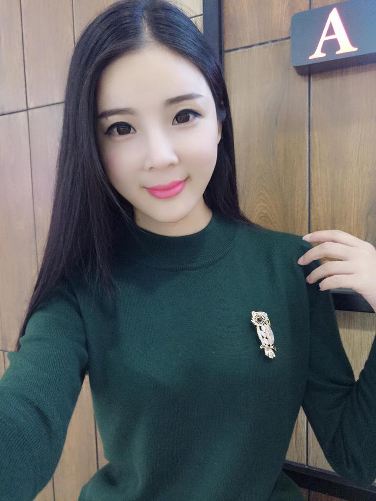 Korean Fashion Cat's Eye Stone Owl Brooch In Gold and Silver