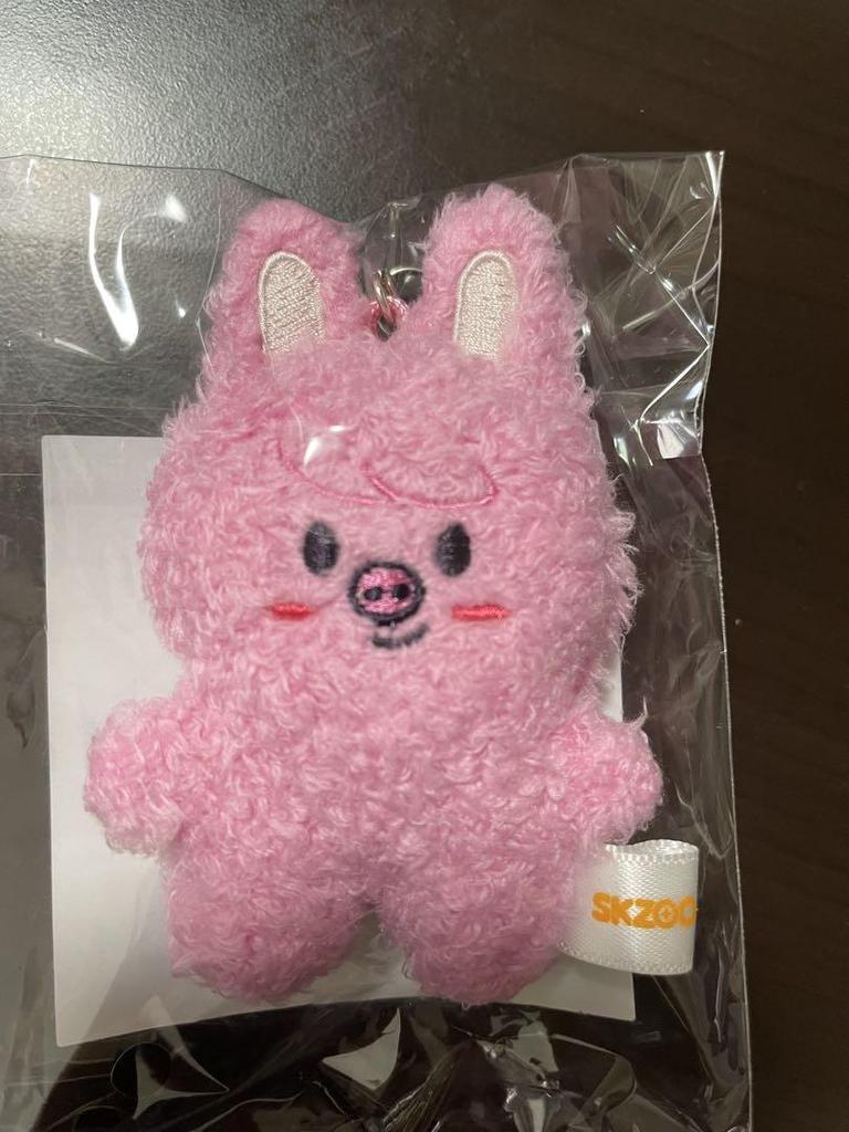 [USED] SKZOO Key Ring Micro ver. DWAEKKI (Changbin)