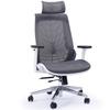 Office Chairs Fortia Ergonomic Office Desk Chair Coolmesh Fabric Headrest Adjustable Lumbar Support Recline And Armrests Dark Grey Mesh/White Frame