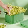 Seed Sprout Tray Garden Hydroponic Peanut Sprouting Box Pea Bean Seedling Sprouter Cat Grass Germination Soilless Planting Pot