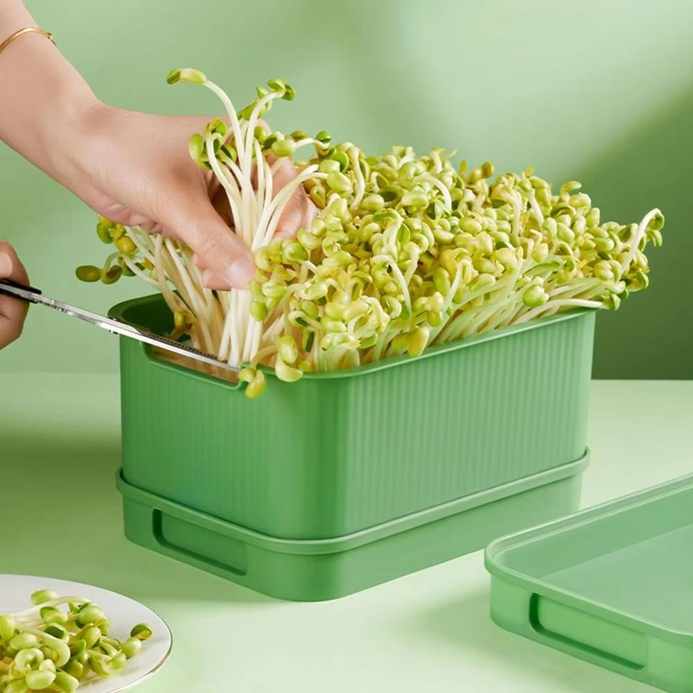 Seed Sprout Tray Garden Hydroponic Peanut Sprouting Box Pea Bean Seedling Sprouter Cat Grass Germination Soilless Planting Pot