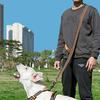 cocomall Japan authorized TRUE LOVE specialty dog lead that can be used in various shoulder double dog lead that can be used in various lead for