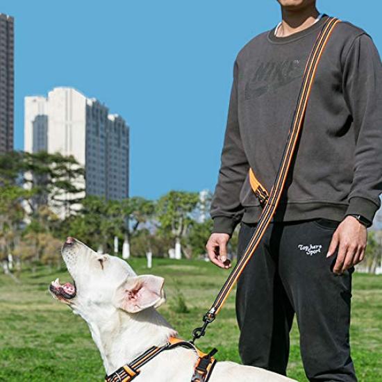 cocomall Japan authorized TRUE LOVE specialty dog lead that can be used in various shoulder double dog lead that can be used in various lead for