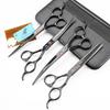 7.0" Black Grooming Scissors Set: 4-Piece Straight Shears with Comb