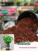 Jasmine Organic Multi-Purpose Soil for Potted Flowers