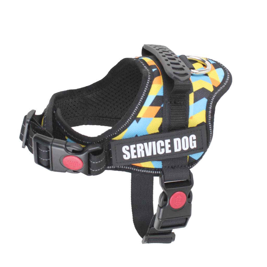 Süßes Haustiergeschirr Halsband für Welpen und Kätzchen Kleiner Hund Reflektierendes Westengeschirr Outdoor-Gehen Anti-Verlust Corgi Labrador Chihuahua