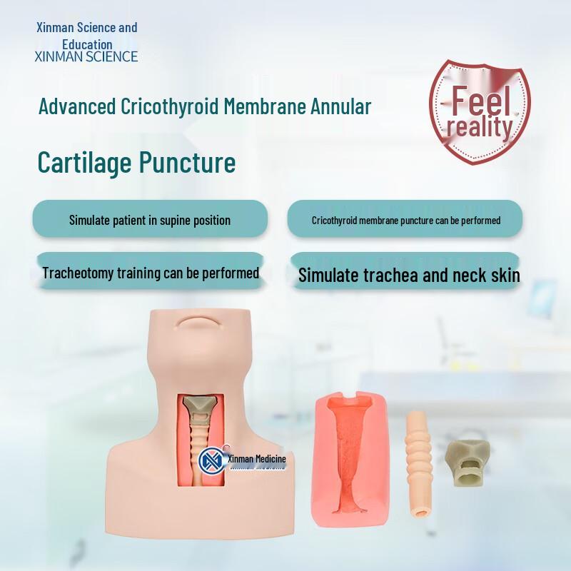 Cricothyroidotomy and Tracheotomy Training Model