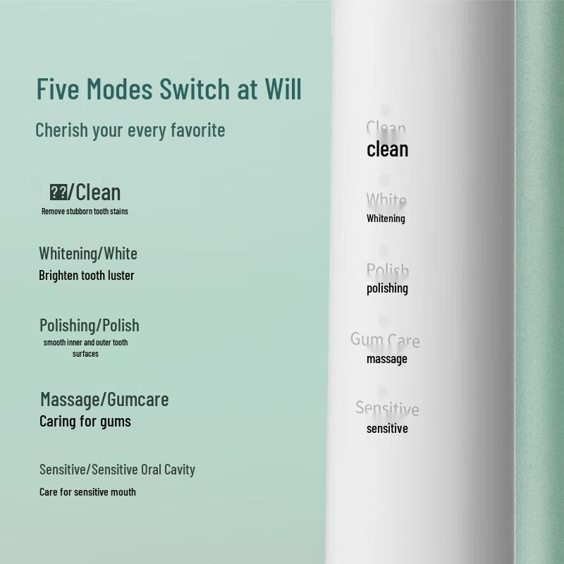 EraClean ET01 Electric Toothbrush