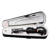 Electro-Acoustic Electronic Violin
