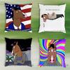 BBoJack Horseman Todd Pillow Case Cover Square Sofa With For Pattern Comfortable Cushion Suitable Of Room
