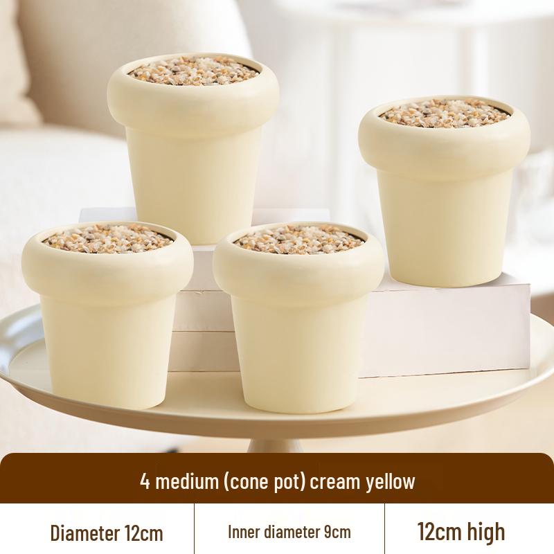 Nordic Style Cream Ceramic Succulent Pot for Phalaenopsis and Green Plants