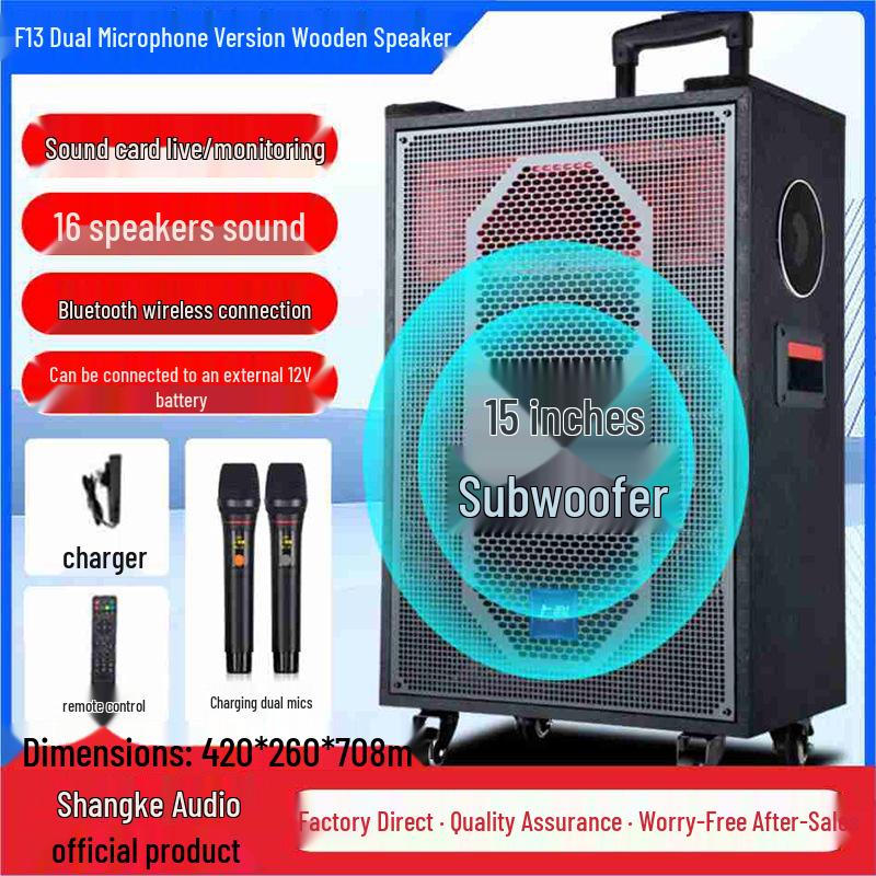 High Power Portable Bluetooth Speaker: Square Dance, Outdoor Use, Home Amplifier, and Singing Performance