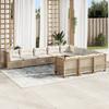 VidaXL Garden Lounge Set with Cushions 10 Pcs Beige Braided Resin 3262036