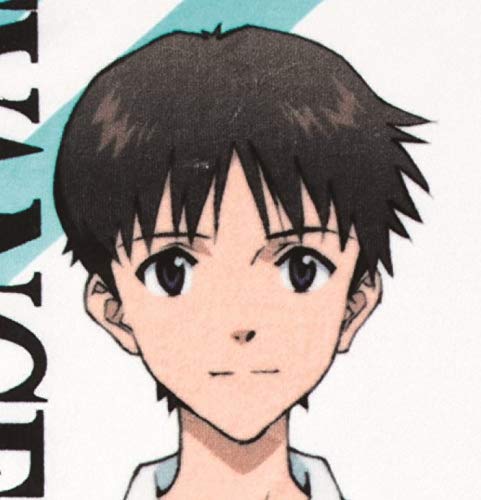 Marushin Beach Towel Evangelion Shinji 70 X 140cm Profile Shinji Large Towel Special Case 4885000400