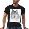 Wolf Watercolor Portrait Wild Animal Art Tshirt T Shirt Personalised Unisex T Shirt Luxury T Shirts For Unisex Slim Fit Tshirt