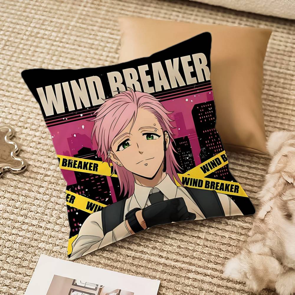 

WIND BREAKER Наволочка Антиклещевая Невидимая молния Диван-кровать 12x12Inch