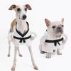 Dog Martial Arts Costume Halloween Event Outfit For Small Breeds Costume Parties And Birthday Party Photography