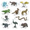 Australian Wildlife Pvc Platypus Platypus Koala Model Collection With Realistic Animal Figures For Nature Enthusiasts