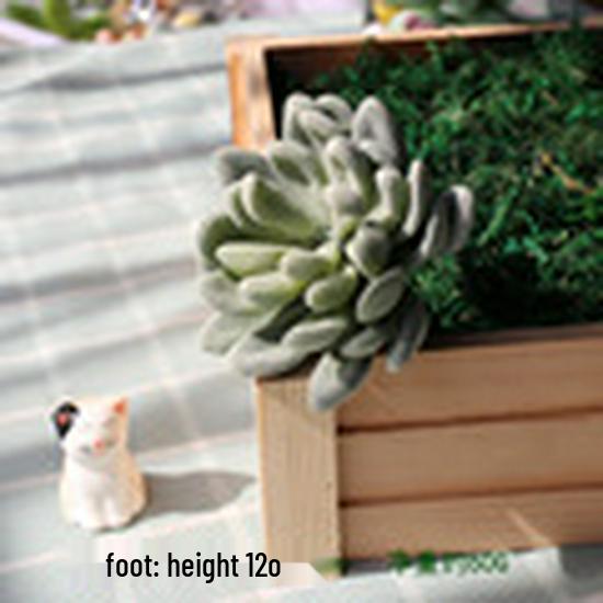 Realistic Flocked Succulents: Small Artificial Green Plant Wall Decor for Interiors